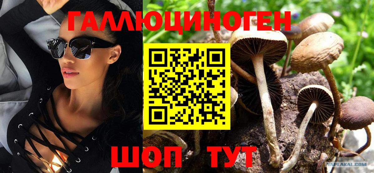 Псилоцибиновые грибы MAGIC MUSHROOMS  Псилоцибиновые грибы Magic Shrooms  Торжок  Вход с VPN 